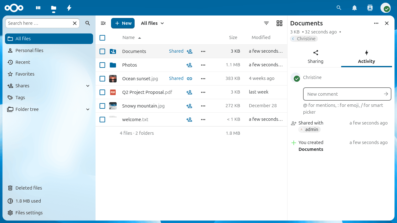 The Activity tab showing file history and a comment field.